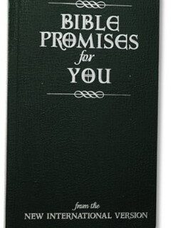 9780310803881 Bible Promises For You NIV