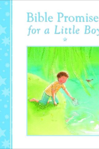 9780745964041 Bible Promises For A Little Boy