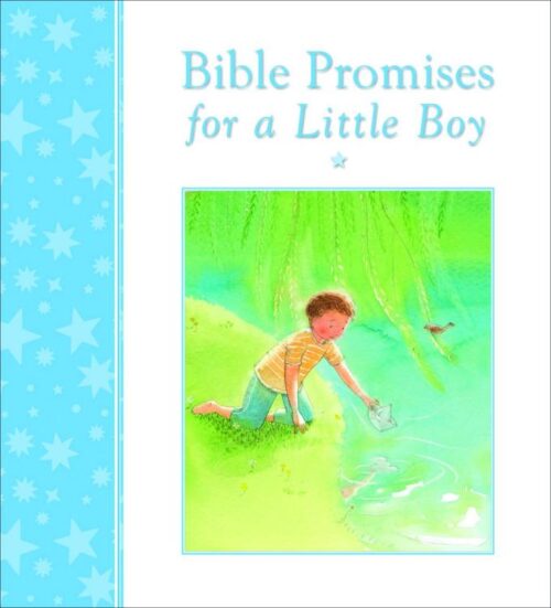 9780745964041 Bible Promises For A Little Boy