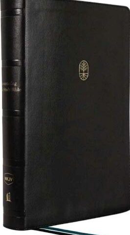 9780785278313 Encountering God Study Bible Comfort Print