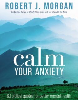 9781400335534 Calm Your Anxiety