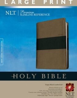 9781414375113 Premium Slimline Reference Bible Large Print