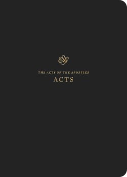 9781433562310 Scripture Journal Acts