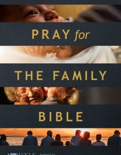 9781496467973 1 Year Pray For The Family Bible