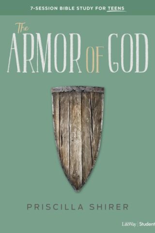 9781535924191 Armor Of God Teen Bible Study Book