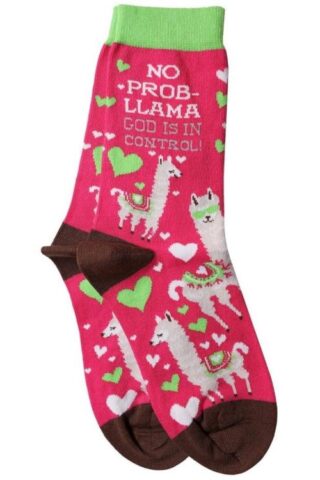 612978529010 Llama Socks