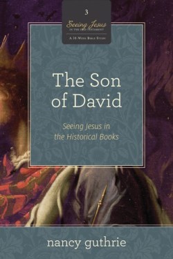 9781433536564 Son Of David