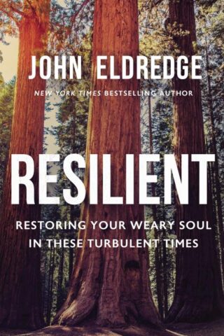 9781400208647 Resilient : Restoring Your Weary Soul In These Turbulent Times