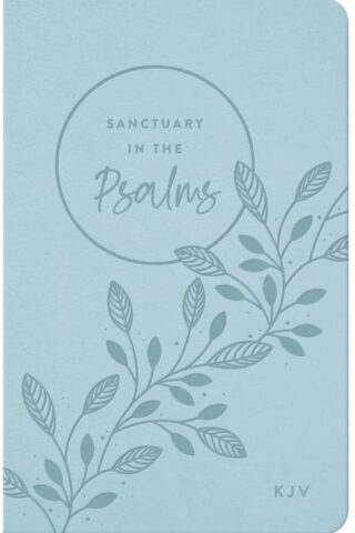 9781648704178 Sanctuary In The Psalms KJV