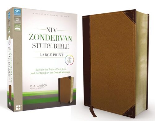 9780310438298 Zondervan Study Bible Large Print