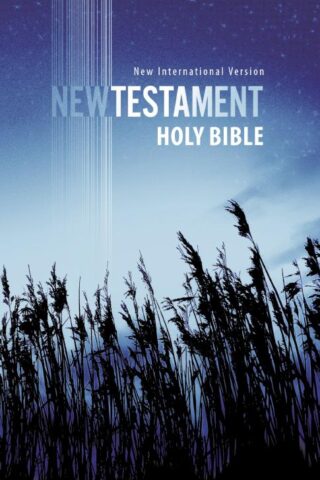 9780310446804 Outreach New Testament