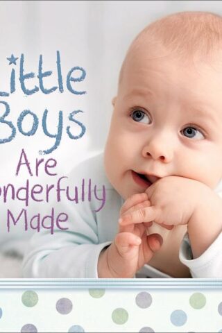 9780736965842 Little Boys Are Wonderfully Made